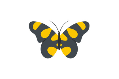 Butterfly in wildlife icon, flat style.
