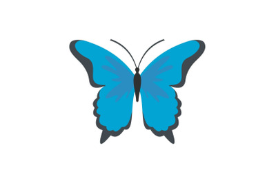 Insect butterfly icon, flat style.