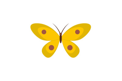 Butterfly with ornament icon, flat style.