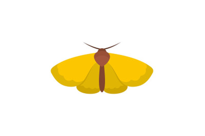 Moth icon, flat style.