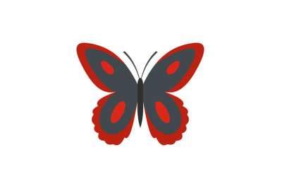 Spotted butterfly icon, flat style.