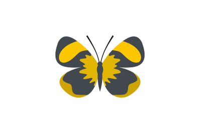 Small butterfly icon, flat style.