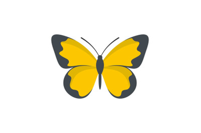 Flying butterfly icon, flat style.