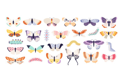 Decorative butterflies and caterpillars. Cute exotic butterfly, moth a