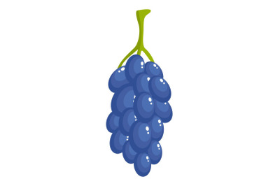 Bunch of grape icon, cartoon style