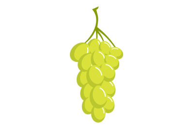 Sultana grape icon, cartoon style