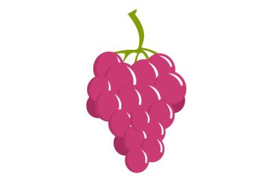 Sweet grape icon, cartoon style