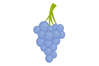 Isabella grapes icon, cartoon style