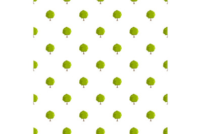 Beech tree pattern seamless