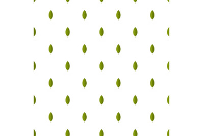 Hornbeam leaf pattern seamless