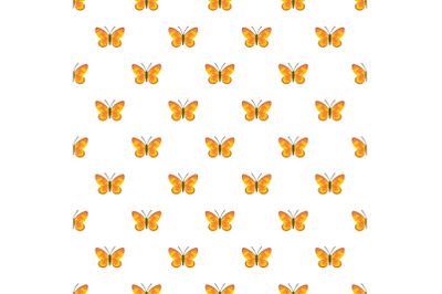 Wild butterfly pattern seamless