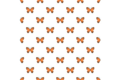 Tropical butterfly pattern seamless