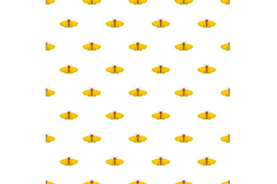 Moth pattern seamless
