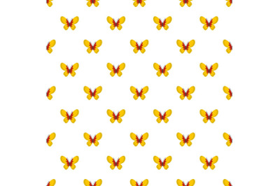 Beautiful butterfly pattern seamless