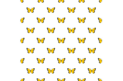 Flying butterfly pattern seamless