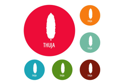 Thuja tree icons circle set vector
