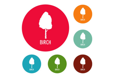 Birch tree icons circle set vector