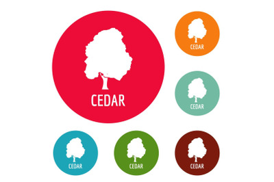 Cedar tree icons circle set vector