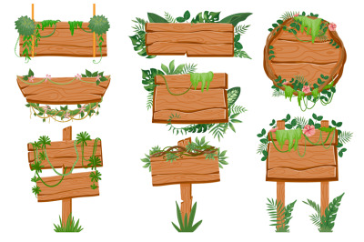 Jungle wooden signboards. Wood board with tropic leaves, moss and lian