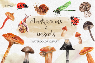 Watercolor Mushrooms and Insects. Forest life PNG. Snails, ladybugs