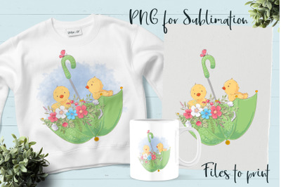 Cute Chickens sublimation. Design for printing.