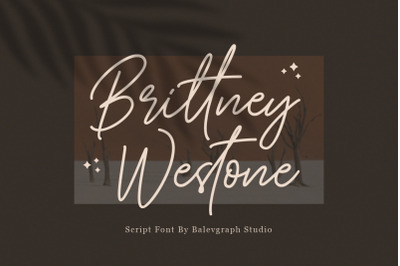 Brittney Westone - Script Font