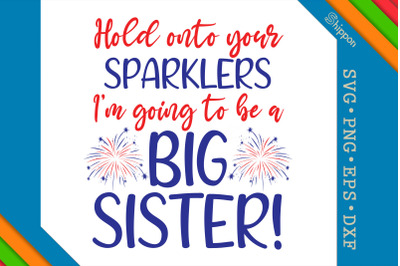 Hold Onto Your Sparkles 4th of July