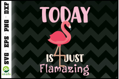 Today Is Just Flamazing Cute Flamingo