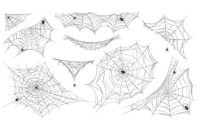 Spider web silhouette. Hanging cobweb with venom spiders for horror he