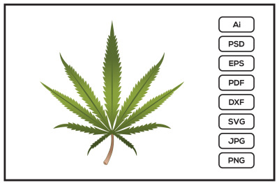 Realistic marijuana leaf design illustration