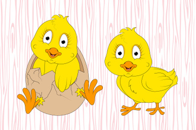 cute chick animal cartoon illustration