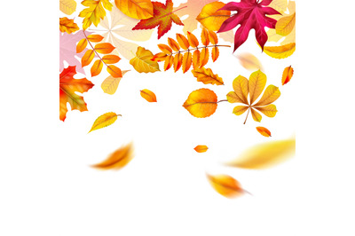 Autumn leaves falling. Yellow red and orange fall realistic foliage fl