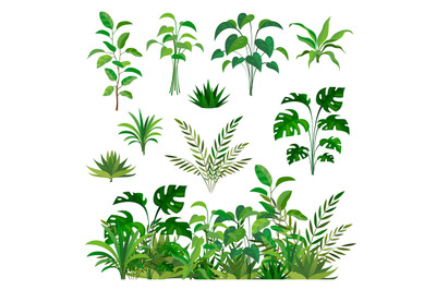 Herbal green elements. Tropical jungle leaves and brunches collection,