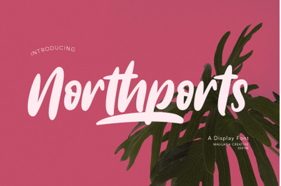 Northports Display Font