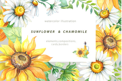Watercolor sunflower &amp; chamomile
