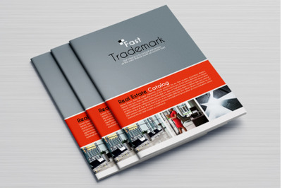 Business Annual Report Brochure