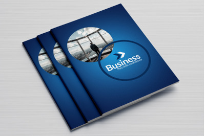 Annual Report 16 Page Business Brochure