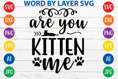 ARE YOU KITTEN ME svg