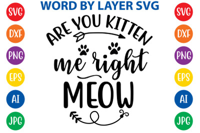 ARE YOU KITTEN ME RIGHT MEOW svg cut files