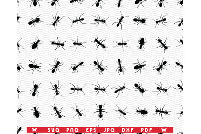 SVG Ants, Black Silhouettes, Seamless wallpaper, digital clipart