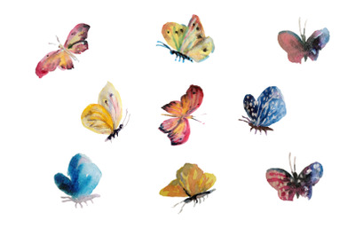 Beautiful watercolor butterflys flying&2C; insect painted on white backgr