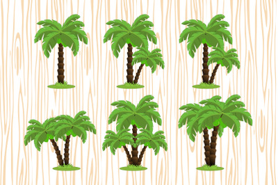 coconut tree collection