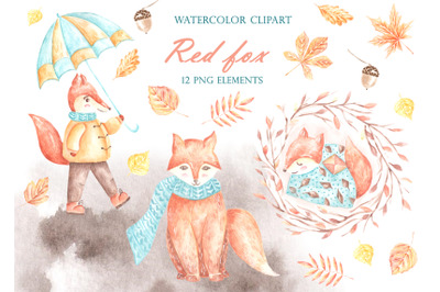 Fall. Fox watercolor clipart. Little fox. Illustrations for children.