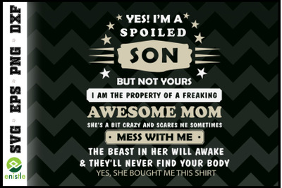 Yes I&#039;m Spoiled Son But Not Yours Family