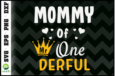 Mommy of Mr Onederful 1st Birthday