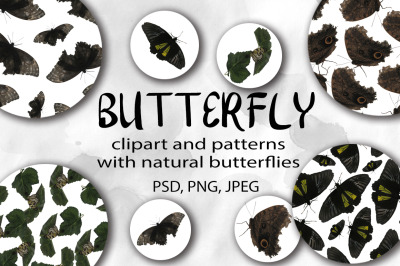 Butterfly Clipart and Digital Papers.