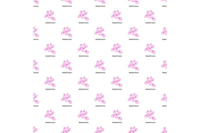 Bordetella pertussis pattern seamless