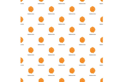 Staphylococcus aureus pattern seamless