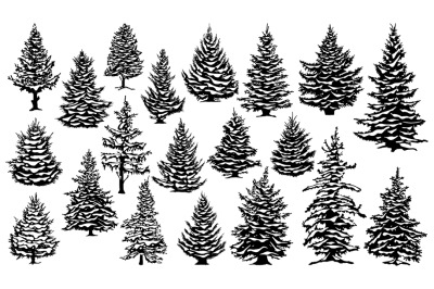 Christmas snowy pine trees. Xmas snow covered pine trees silhouettes,