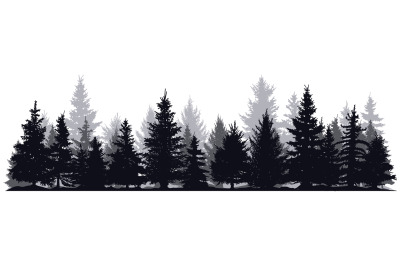 Pine trees silhouettes. Evergreen coniferous forest silhouette&2C; nature